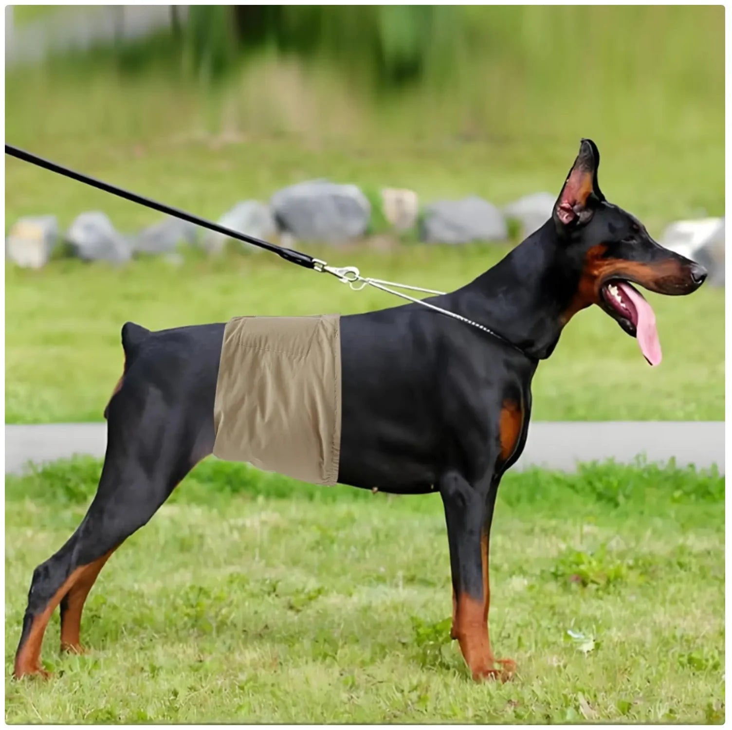 Dog Belly Band & Diaper Wrap - Waterproof Dog Sanitary Pants for Male & Female Dogs